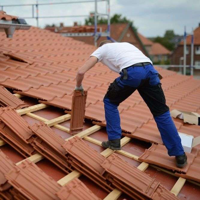 Oranje dakpannen nieuw leggen Oranje dakpannen nieuw leggen